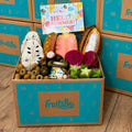 Taste the Exotics Fruit Box