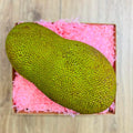 Fresh Whole Jackfruit Box