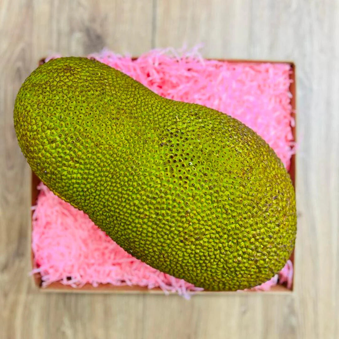 Fresh Whole Jackfruit Box