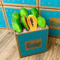 Golden Papaya Box