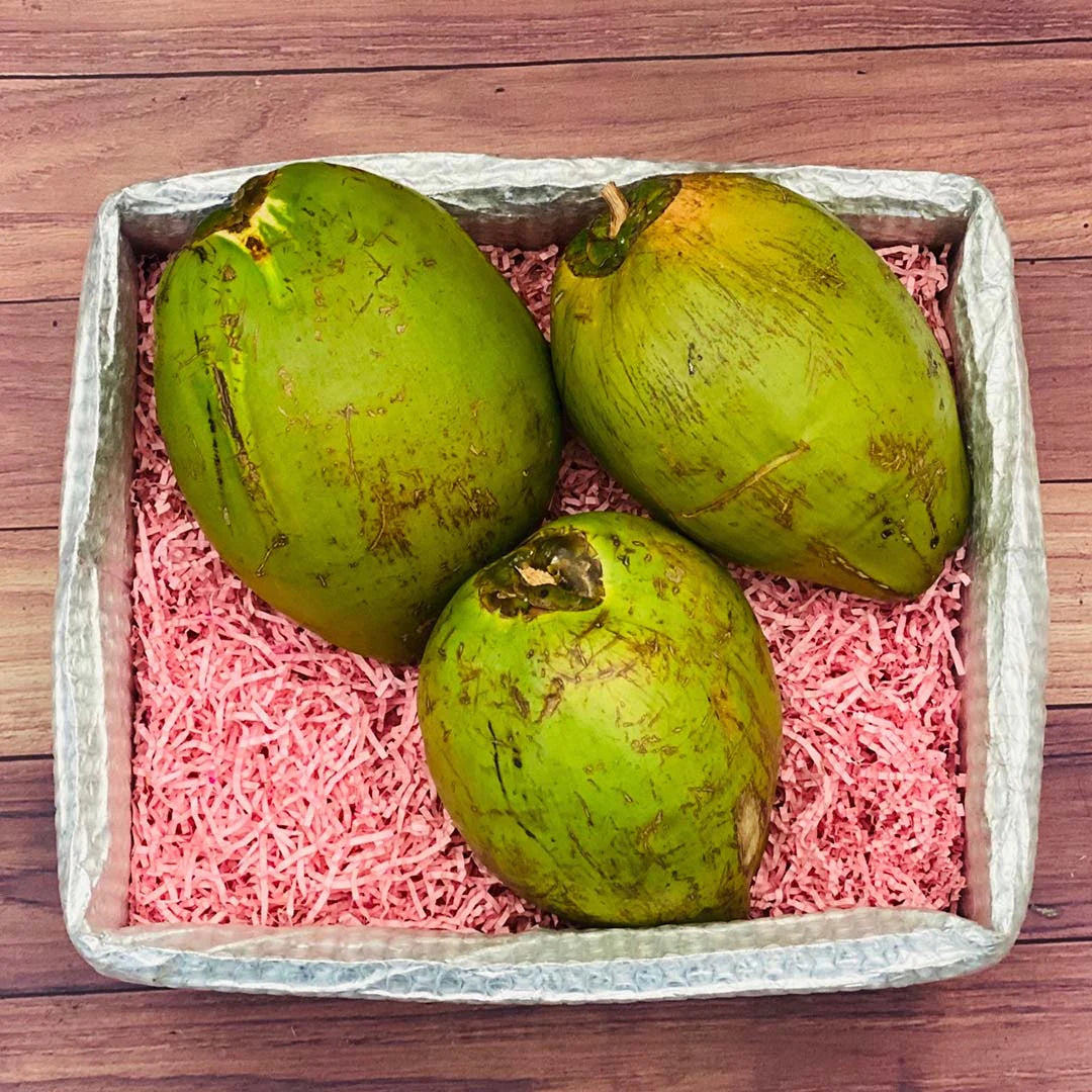 Green Coconut Box