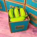 Hawaiian Plantains Box