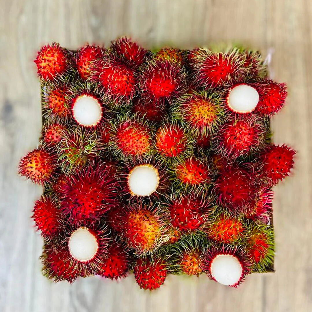 Rambutan Box