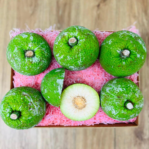 Breadfruit Panapen Ulu Box
