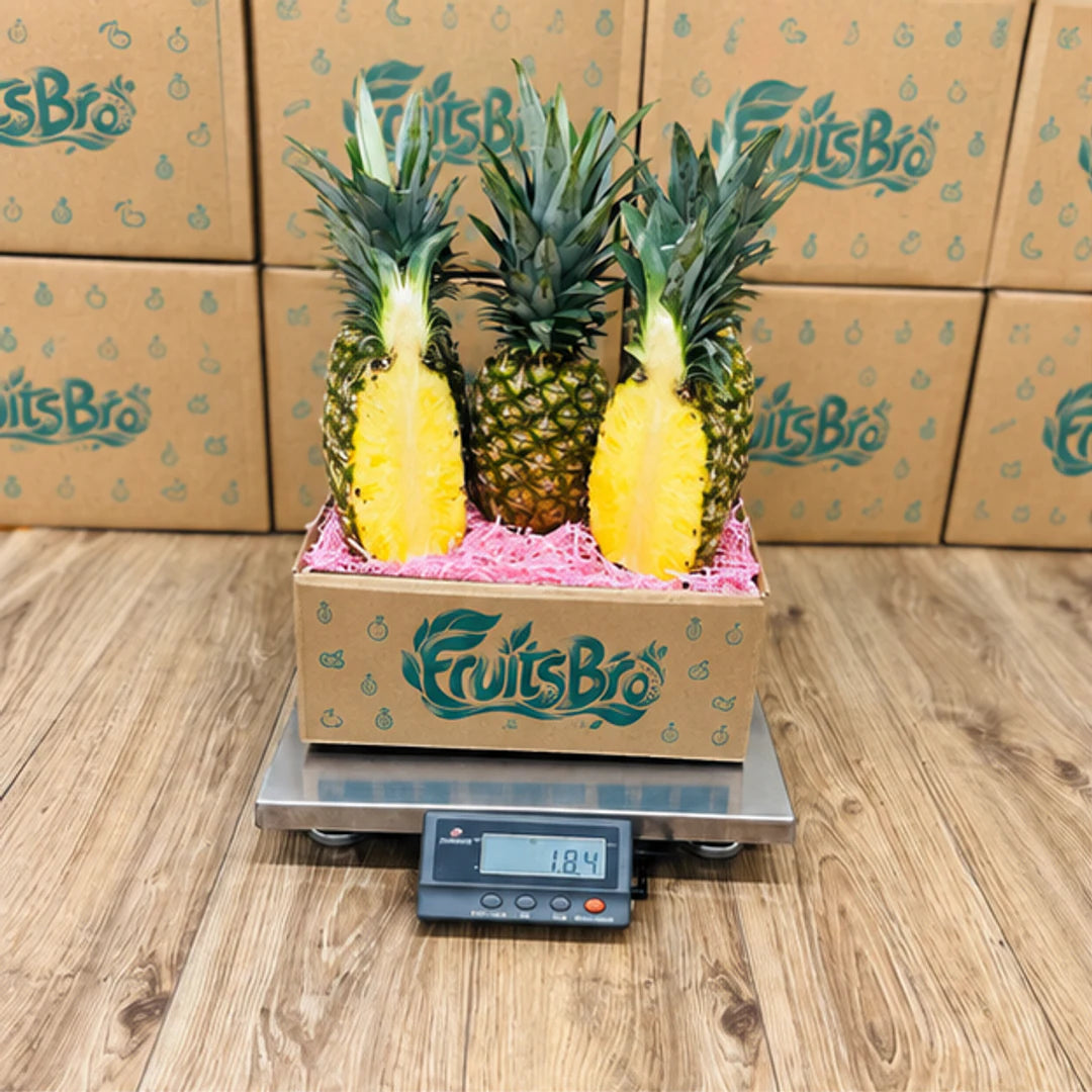 Premium Tropical Golden Pineapple Box