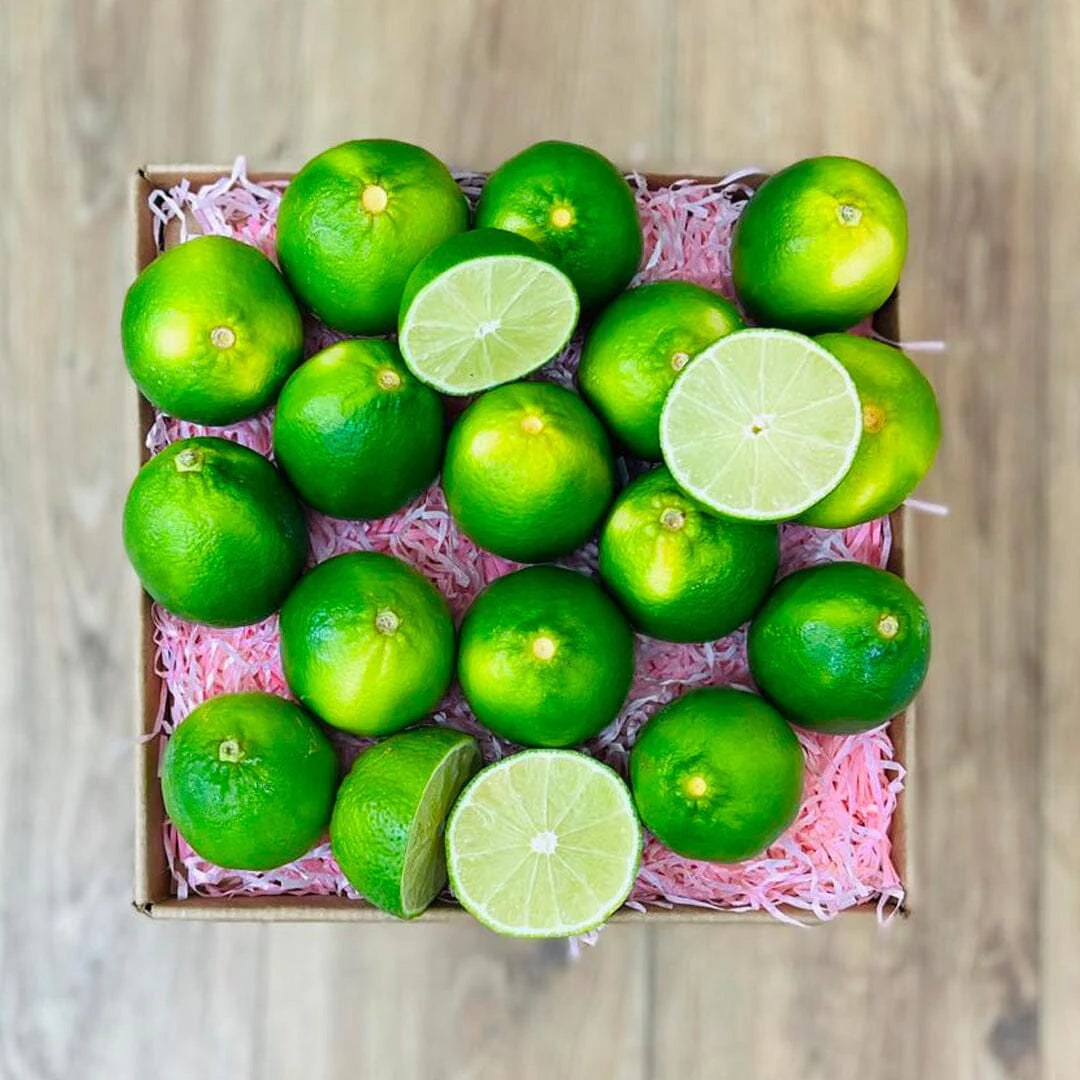 Tropical Lime Box