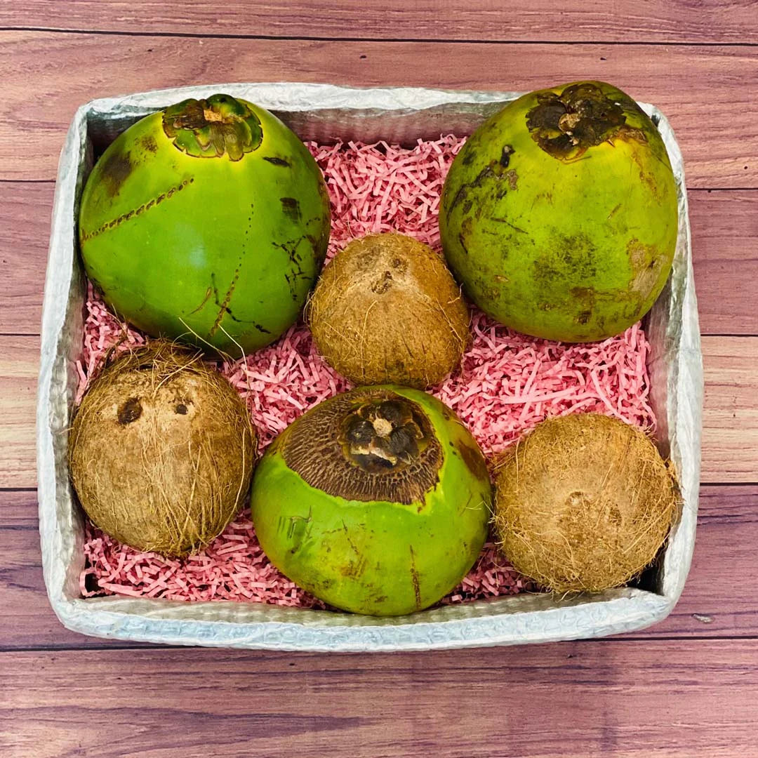 Mixed Coconuts Box