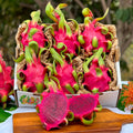 Red Flesh Dragon Fruit Pitahaya Box