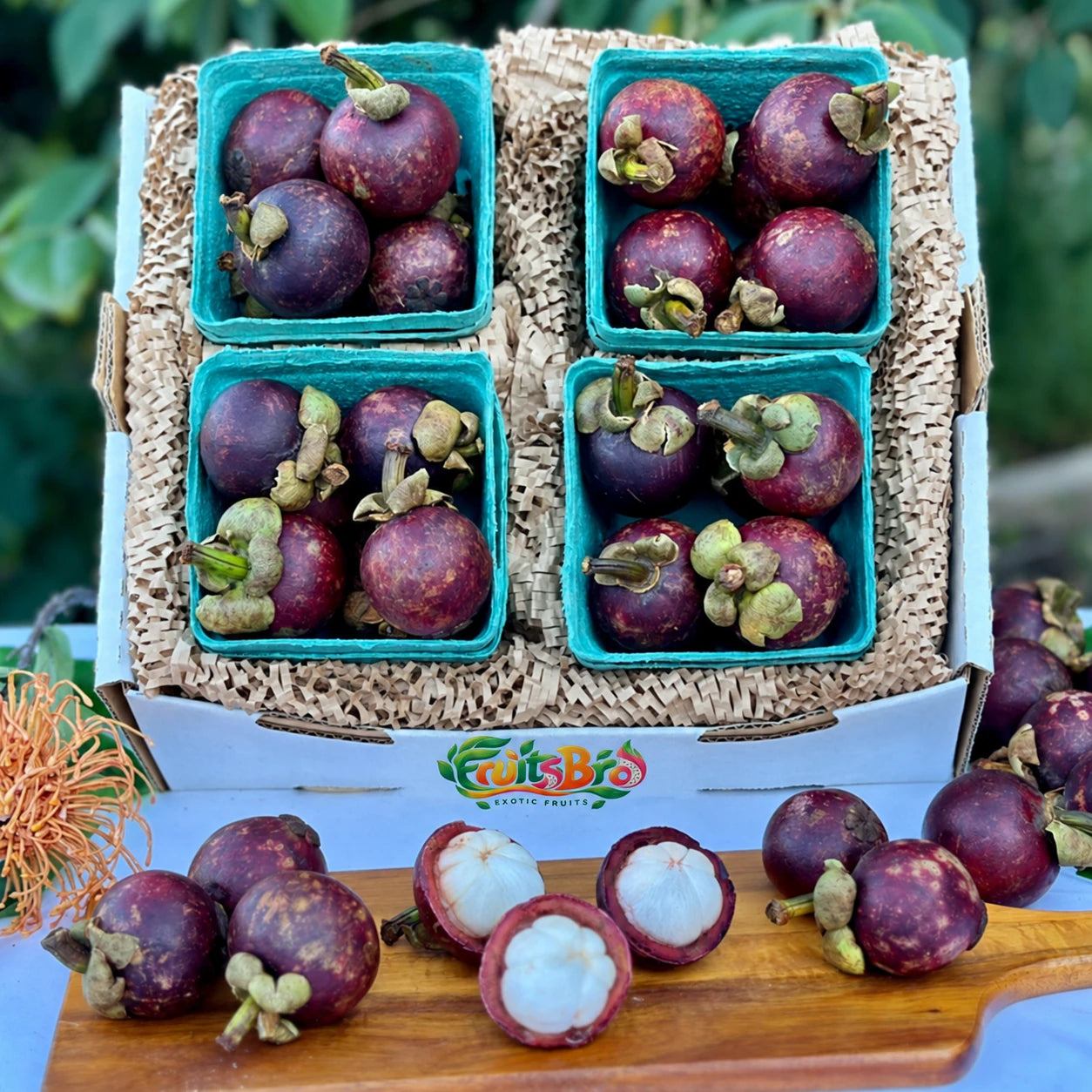 Purple Mangosteen Fruit Box