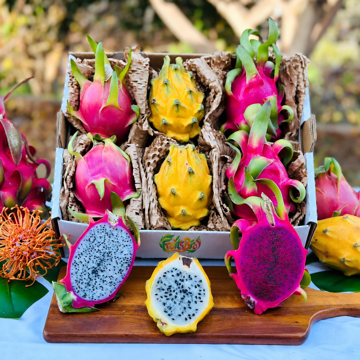 Dragon Fruit Pitahaya Mix Box