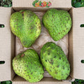 Soursop Guanabana Fruit Box