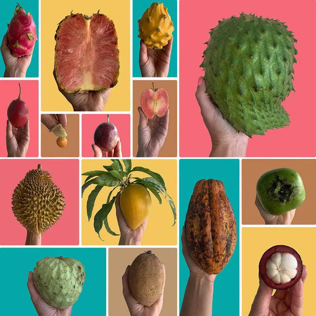 Create Your Own Tropical Fruit Box from FruitsBro