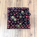 Red Muscadine Grape Box from FruitsBro