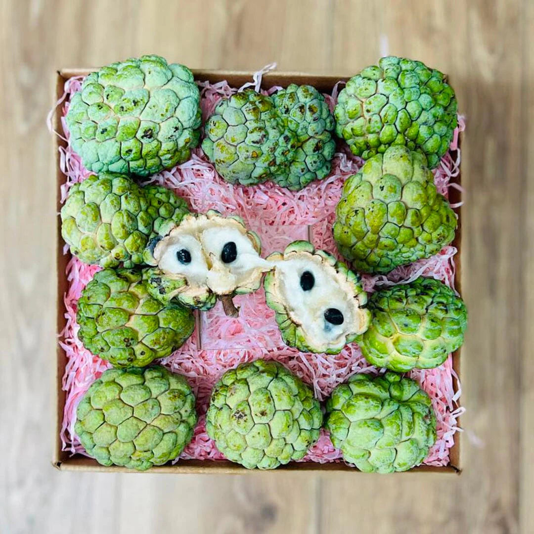 Sugar Apple · Sweetsop · Anon Box from FruitsBro